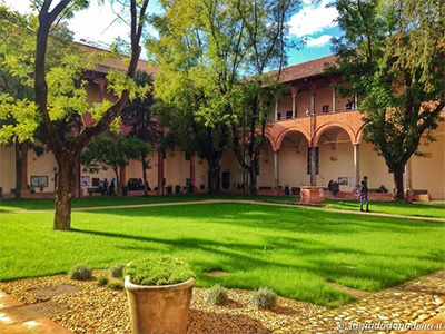 Diritto del Terzo Settore a Giurisprudenza